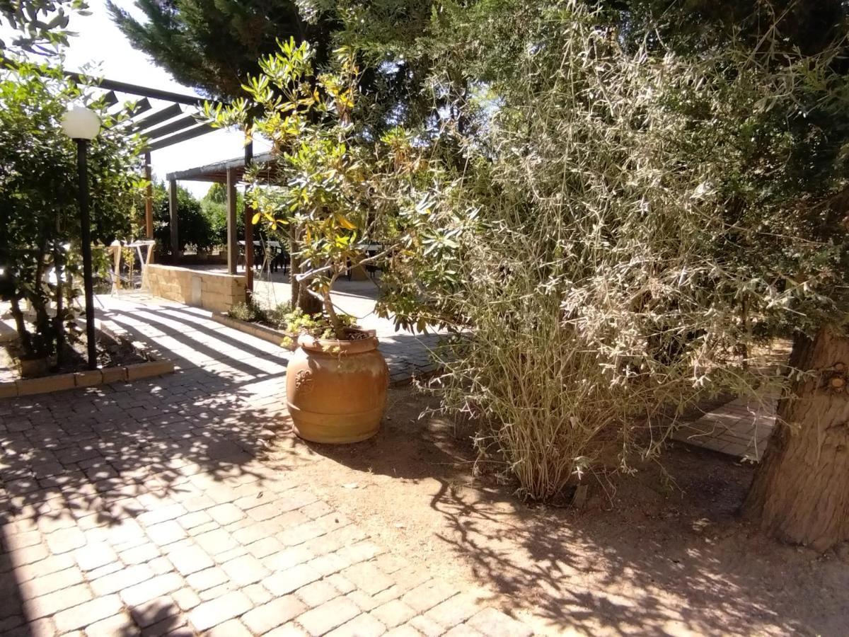 Azienda Agrituristica Le Betulle Riotorto Exterior photo