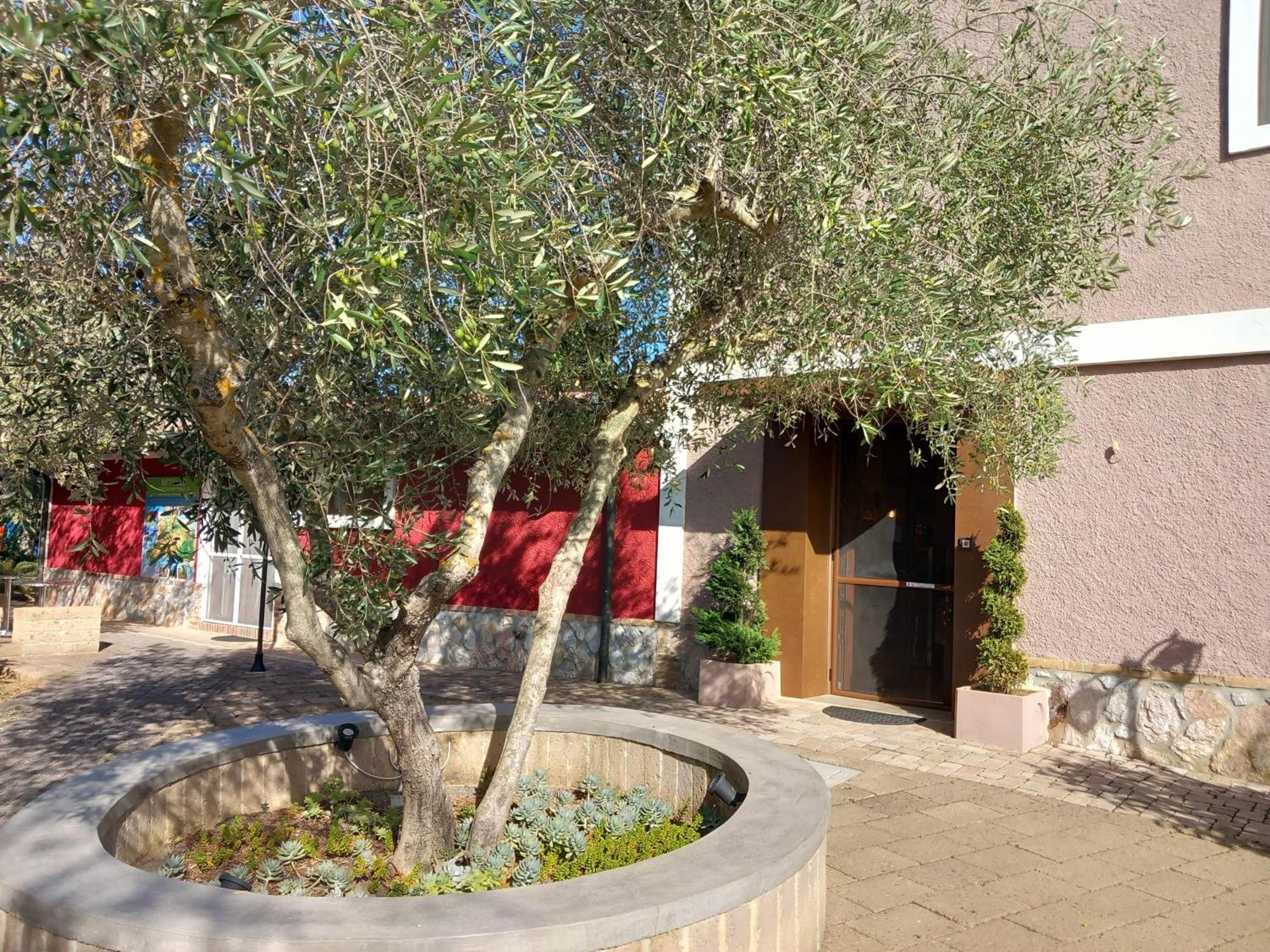 Azienda Agrituristica Le Betulle Riotorto Exterior photo