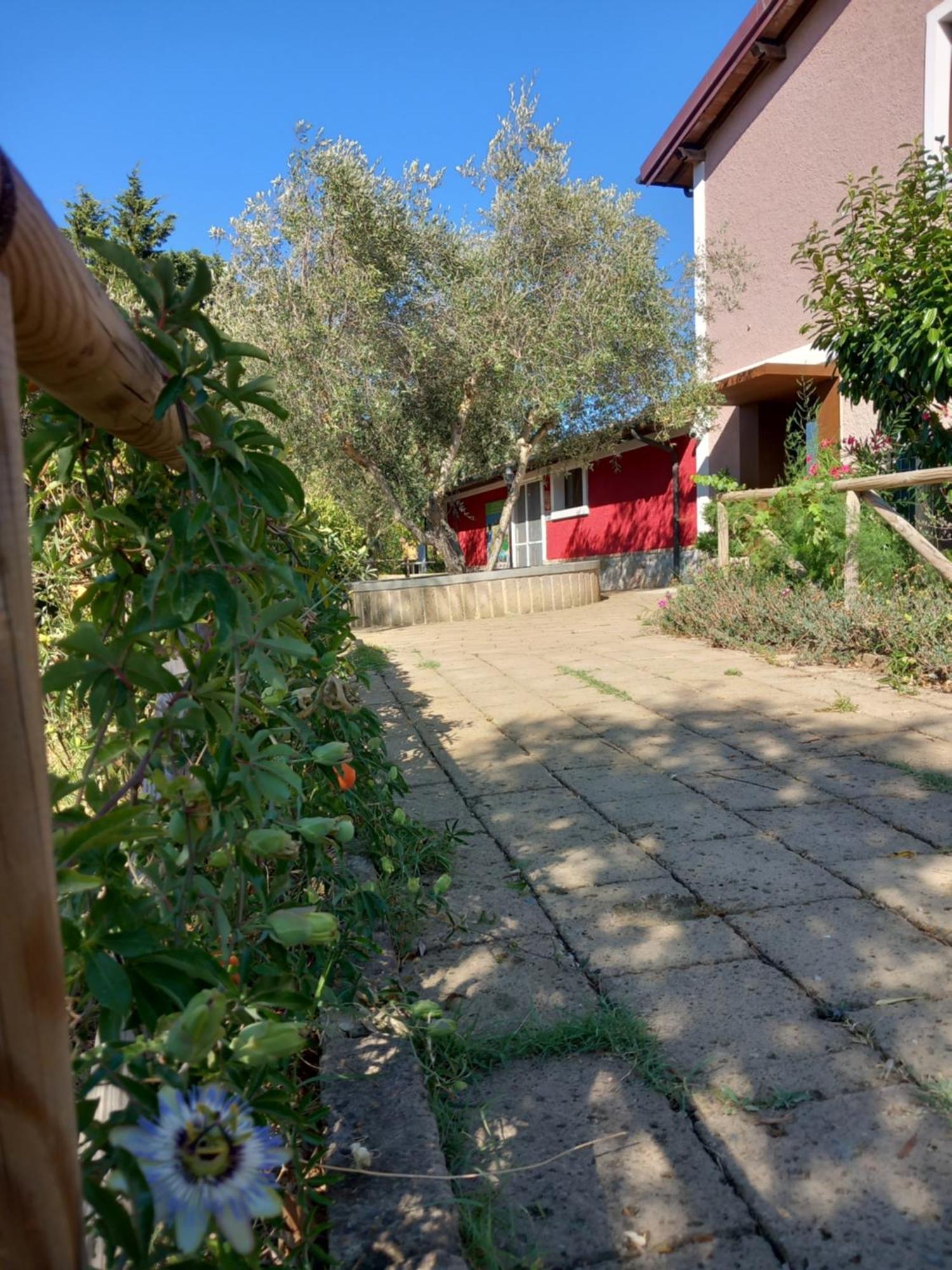 Azienda Agrituristica Le Betulle Riotorto Exterior photo