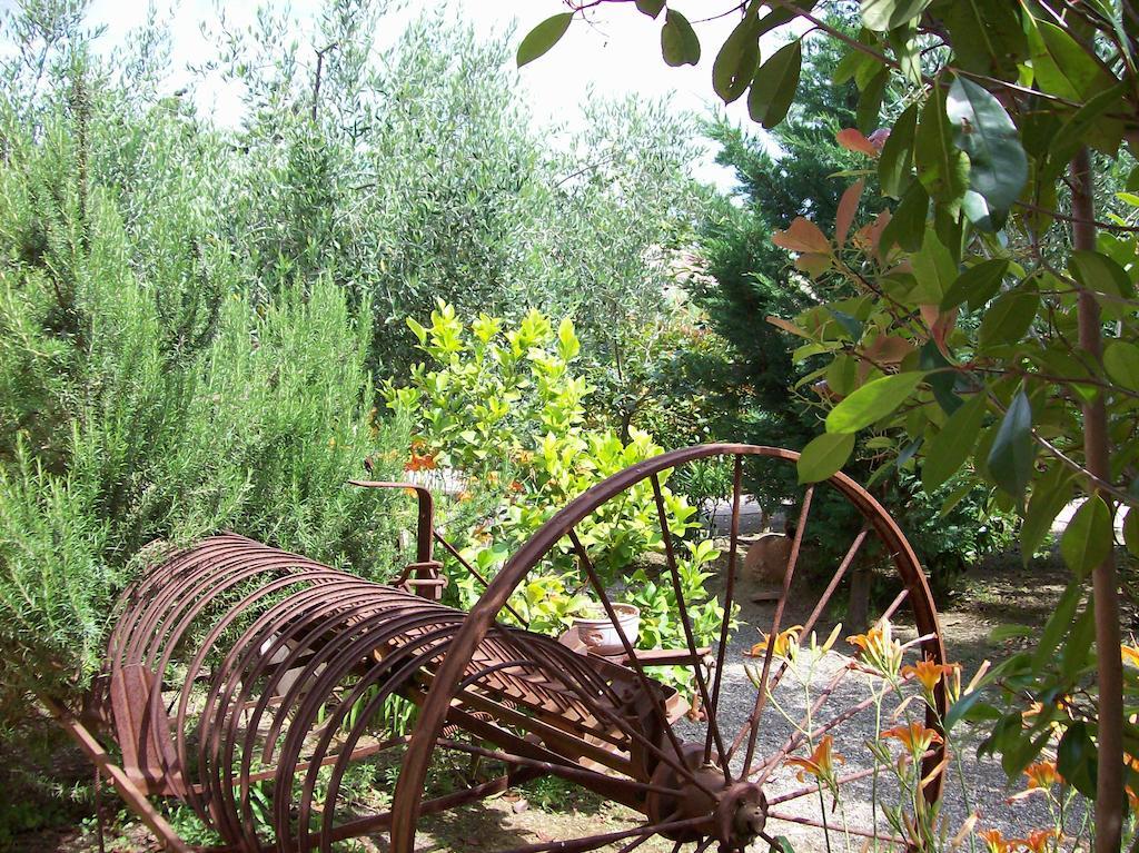 Azienda Agrituristica Le Betulle Riotorto Exterior photo