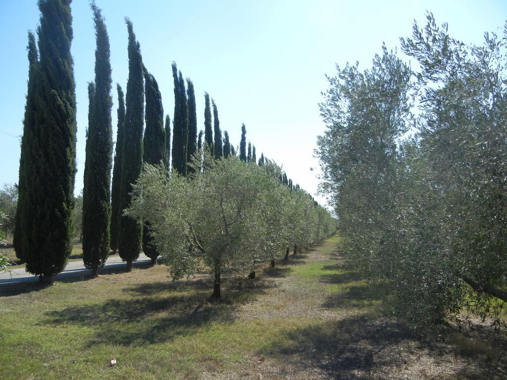 Azienda Agrituristica Le Betulle Riotorto Exterior photo
